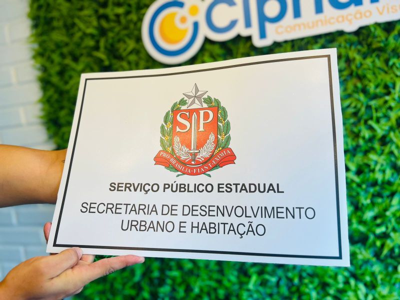 Identificação Temporária para Veículos Governo SP | Comunicação Visual para Empresas 2