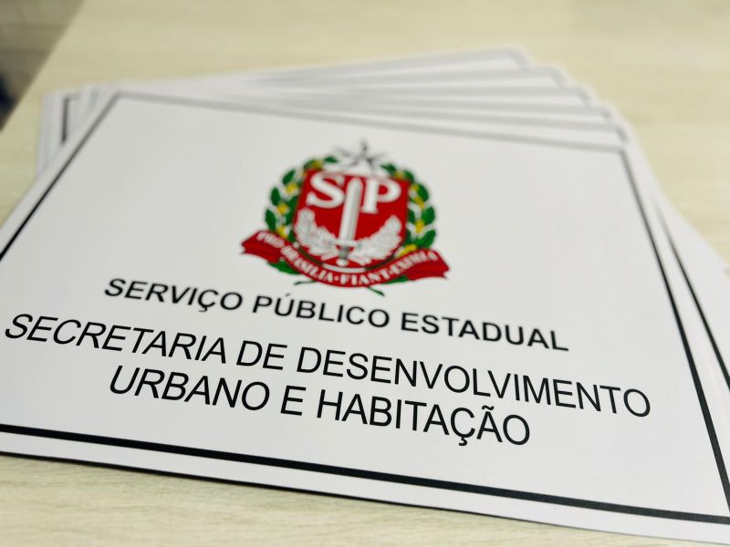 Identificação Temporária para Veículos Governo SP | Comunicação Visual para Empresas 3