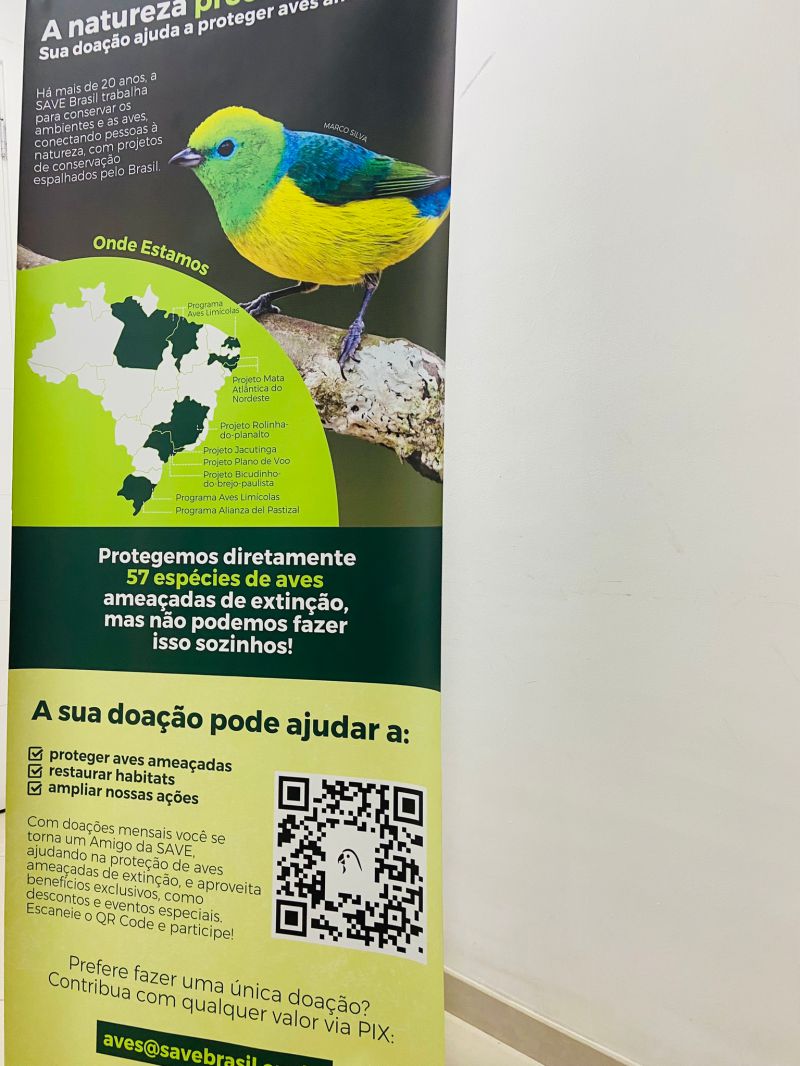 Banner para Palestra | Produção de Eventos 1