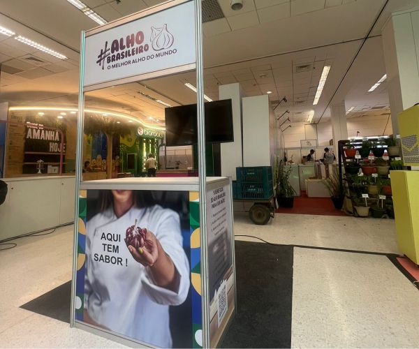 Feira de Alimentos | Decoração de Stands