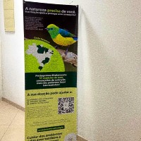 X Banner | Atibaia | Cipriani Comunicação Visual