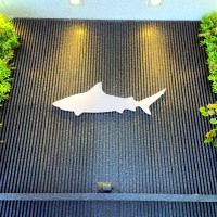 Logo Autocolante | Campinas | Cipriani Comunicação Visual