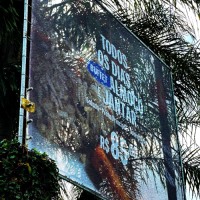 Lona Perfurada com Impressão | Campinas | Cipriani Comunicação Visual