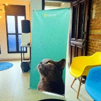 X Banner | Campinas | Cipriani Comunicação Visual