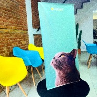 X Banner | Jundiaí | Cipriani Comunicação Visual