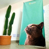 X Banner | Valinhos | Cipriani Comunicação Visual