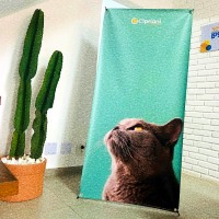 X Banner | Zona Leste SP | Cipriani Comunicação Visual