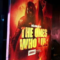 Mural de Fotos Backrop | Zona Norte SP | Cipriani Comunicação Visual