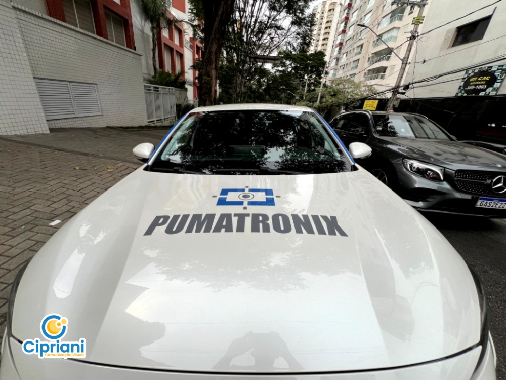 Adesivo de Veículo Carro para Eventos e Feiras Azul e Branco 3 Imagem