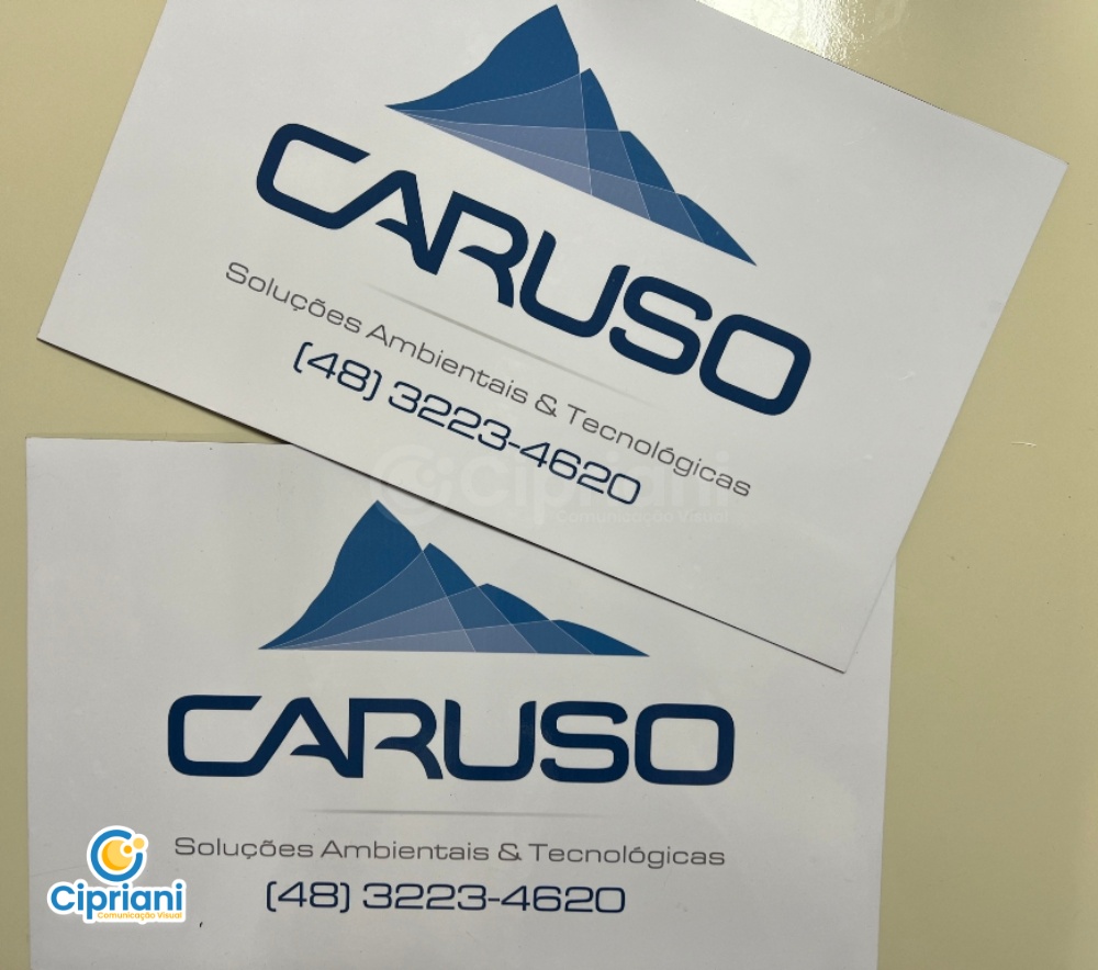 Imãs com Logotipo para Porta de Carro em Azul e Branco 1 Imagem