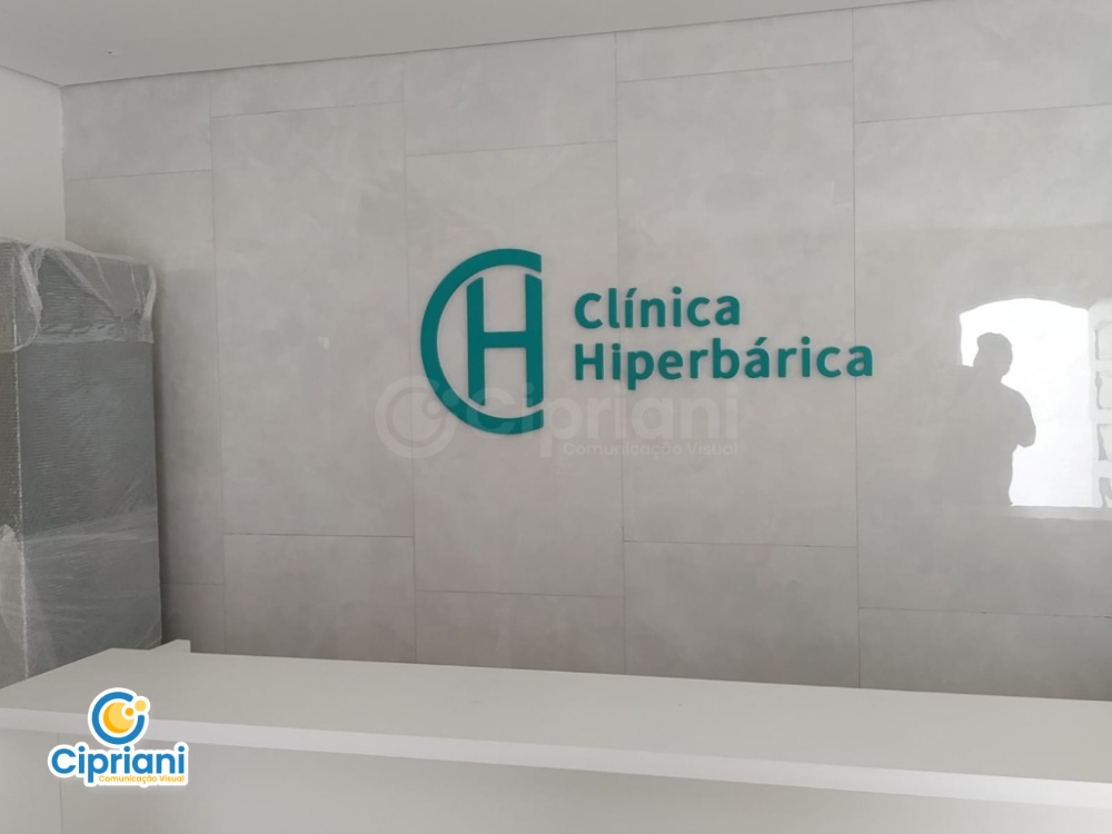 Logo em PVC para Clínica Cinza e Verde, Preço e Prazo 2 Imagem